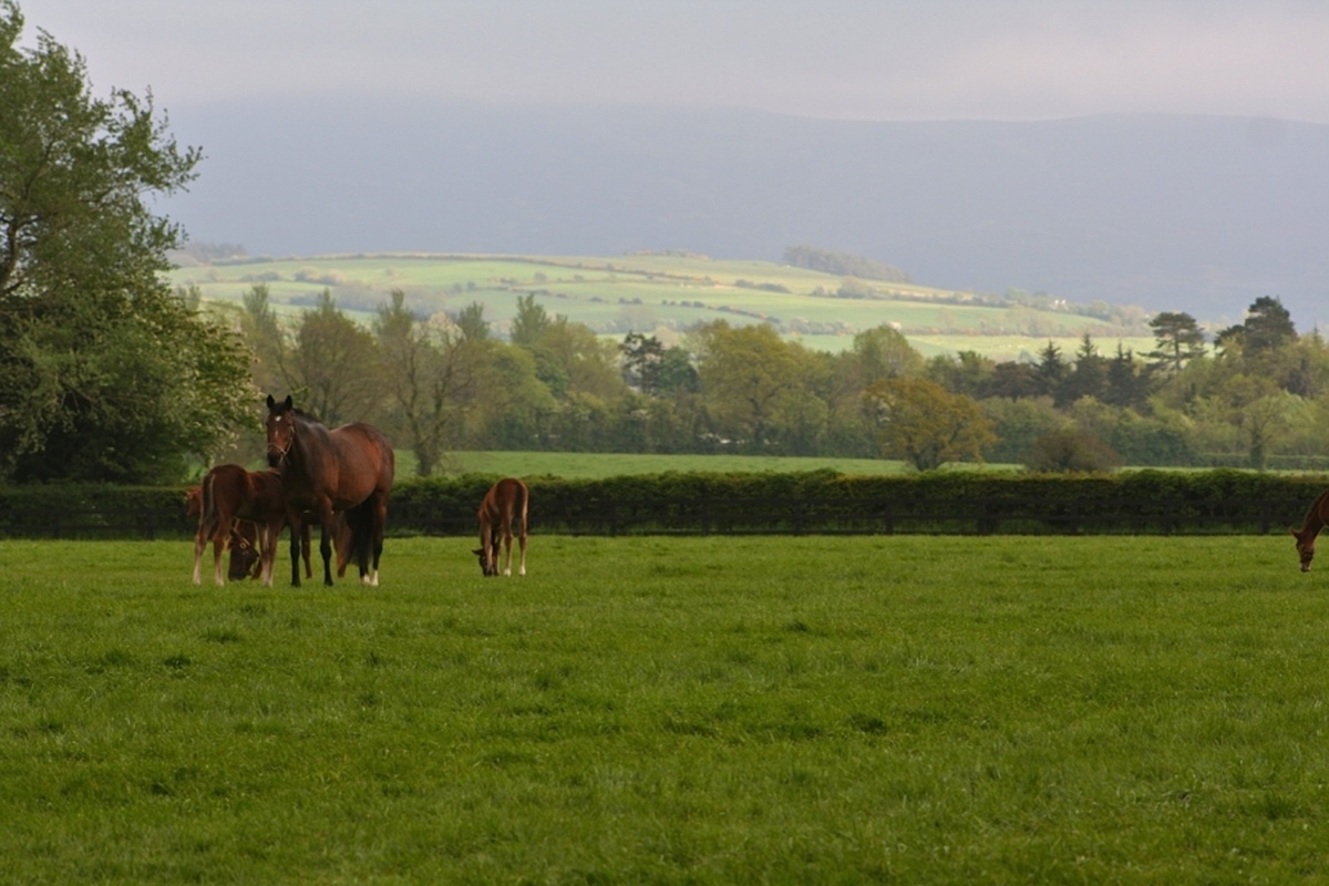 "Breaking News re ARVAC" 