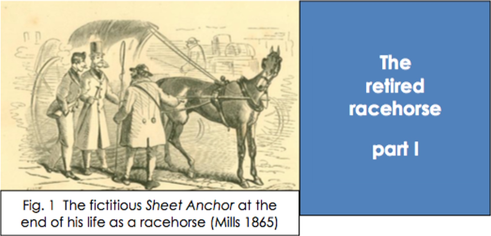 EFTBA Veterinary Newsletter n°16