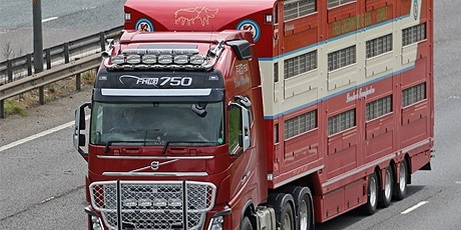 Moving animals across borders - Committees - UK Parliament