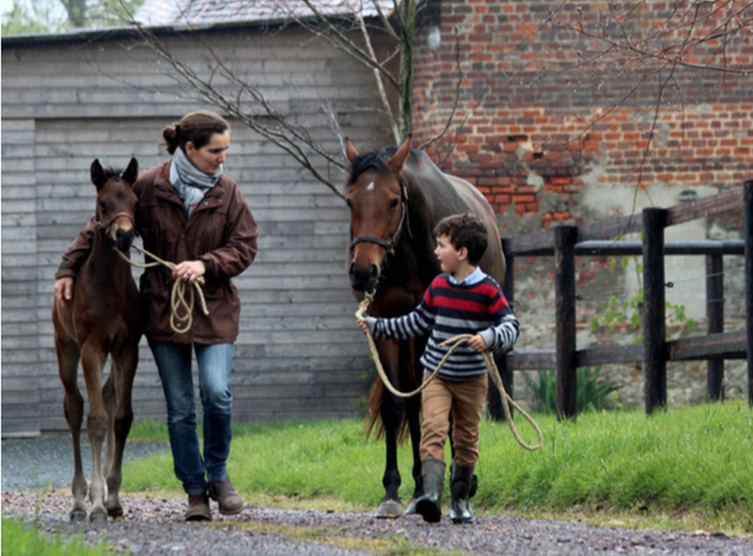 Photo contest organized by the EFTBA : A great chance to make known the routine of breeders!