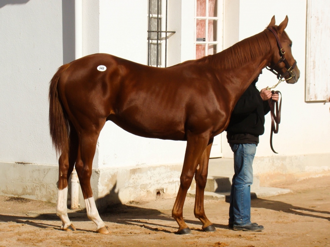 Assemblée Générale 2017 de l'EFTBA - EFTBA General Assembly