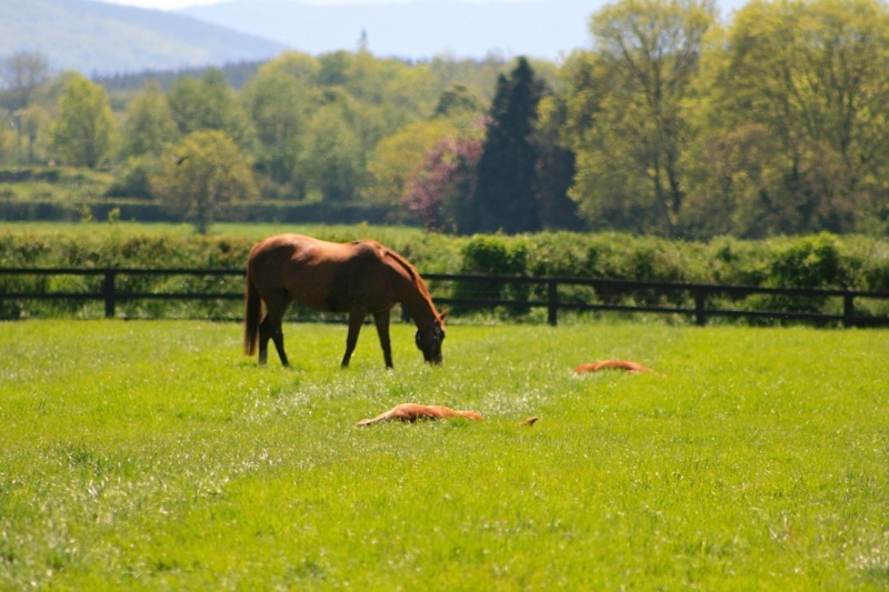 Equip Artervac is Back in Stock 