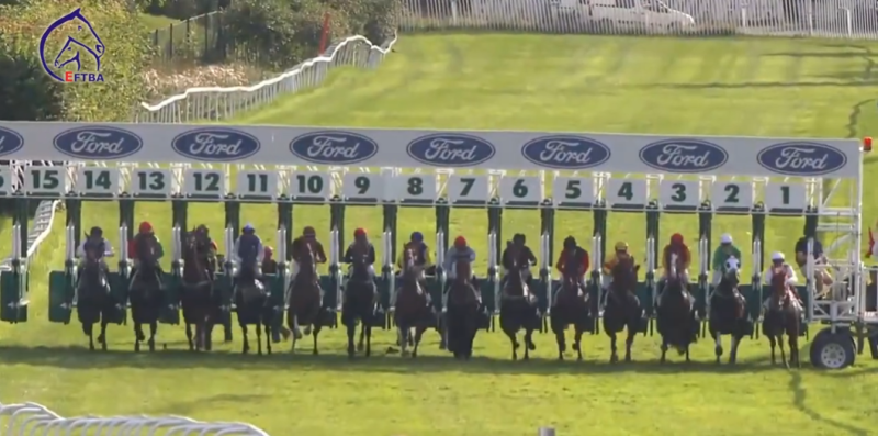 EFTBA The Amazing Impact of the Thoroughbred