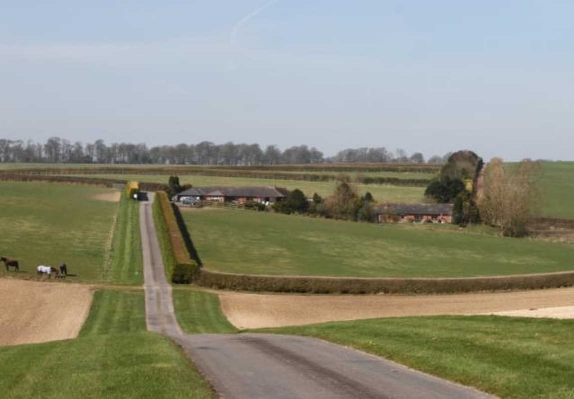 EFTBA Veterinary Newsletter n°21