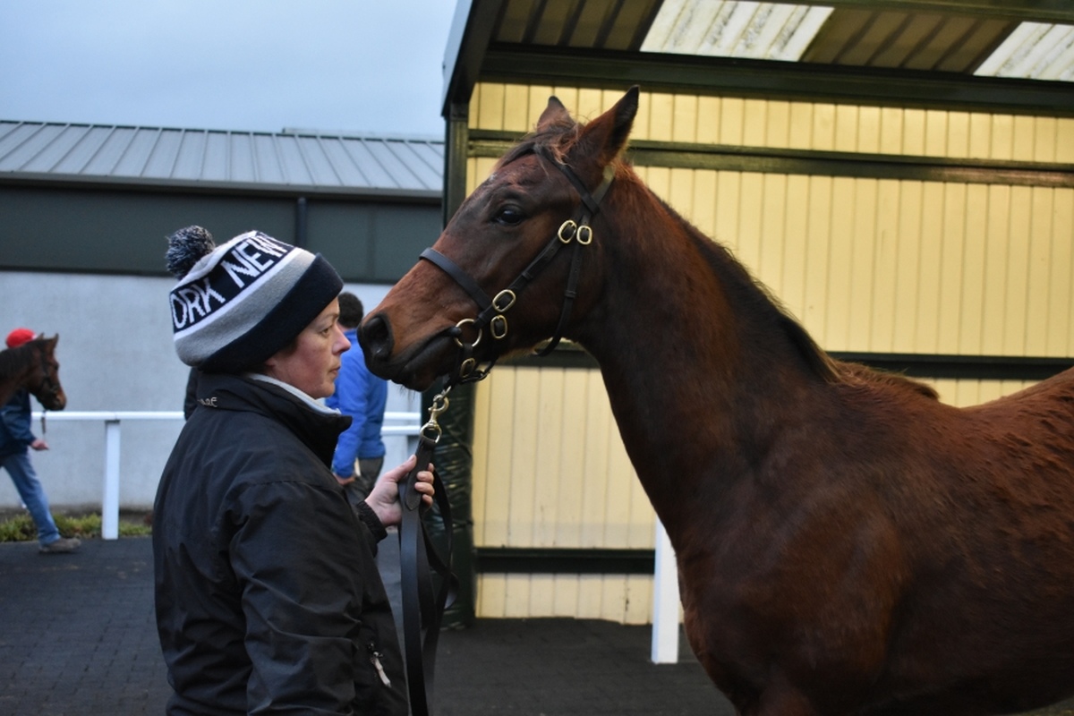 EFTBA Veterinary Newsletter - Spring 2020  