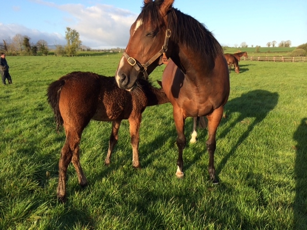 International Codes of Practice 2025   